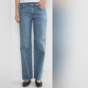 Aritzia Denim Forum Baggy Jeans
